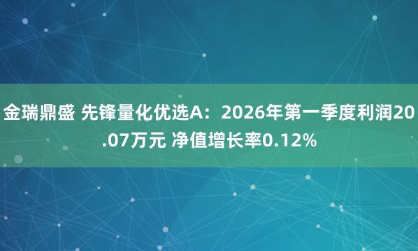 金瑞鼎盛 先锋量化优选A：2026年第一季度利润20.07万元 净值增长率0.12%