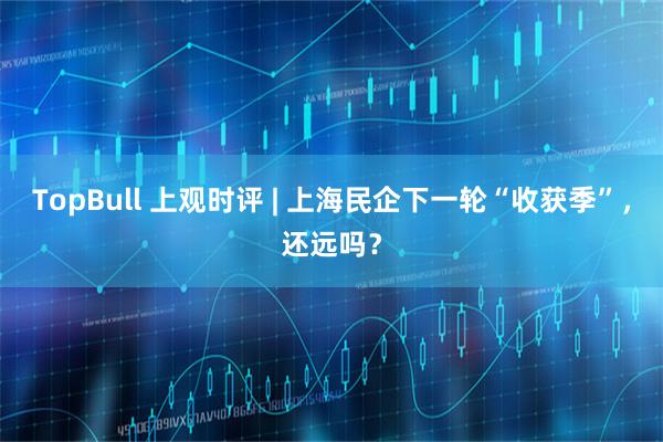 TopBull 上观时评 | 上海民企下一轮“收获季”，还远吗？