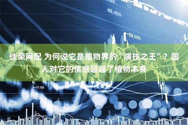 佳荣网配 为何说它是植物界的“演技之王”？国人对它的情感超越了植物本身